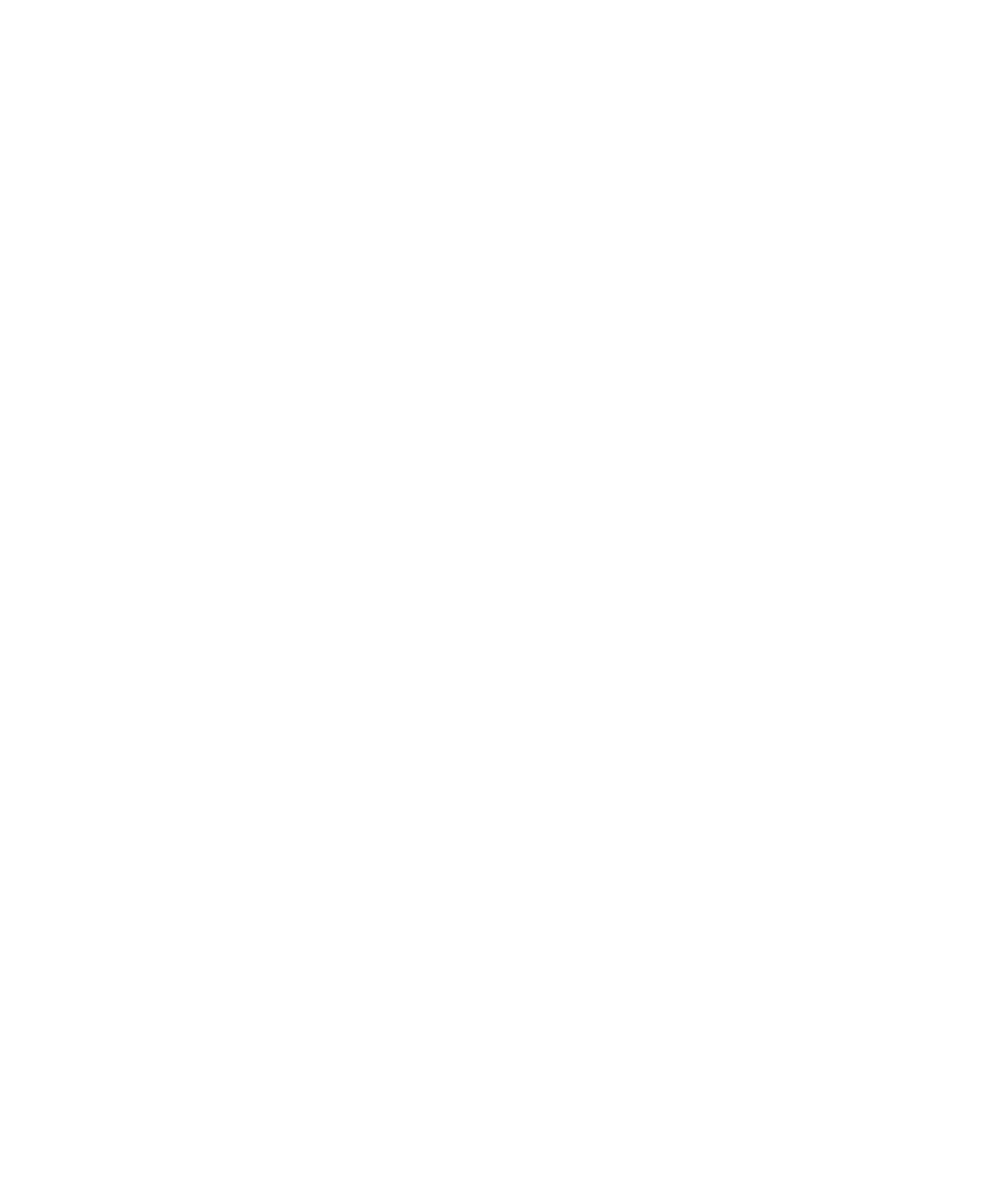3rd Culture