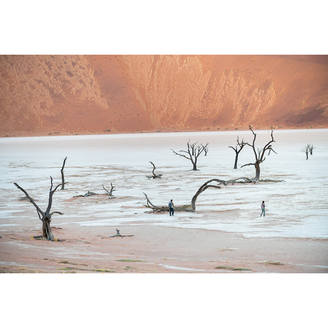Namibia Photographic Print