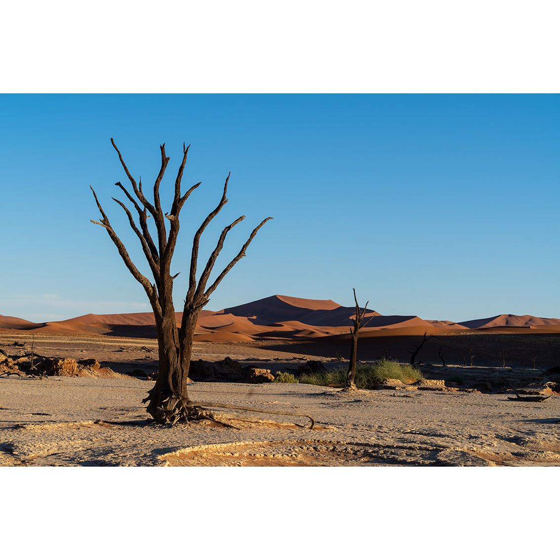 Namibia Photographic Print