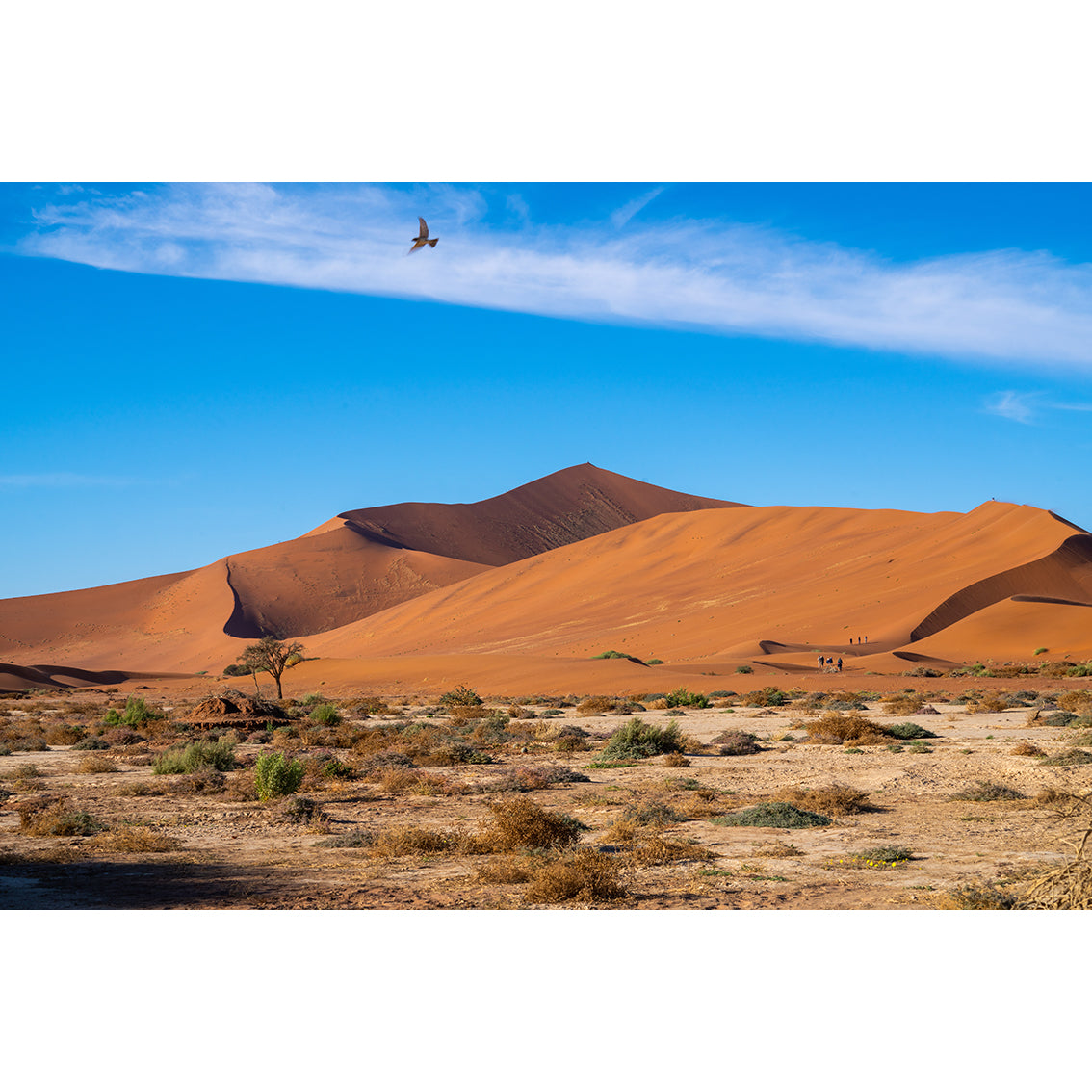 Namibia Photographic Print
