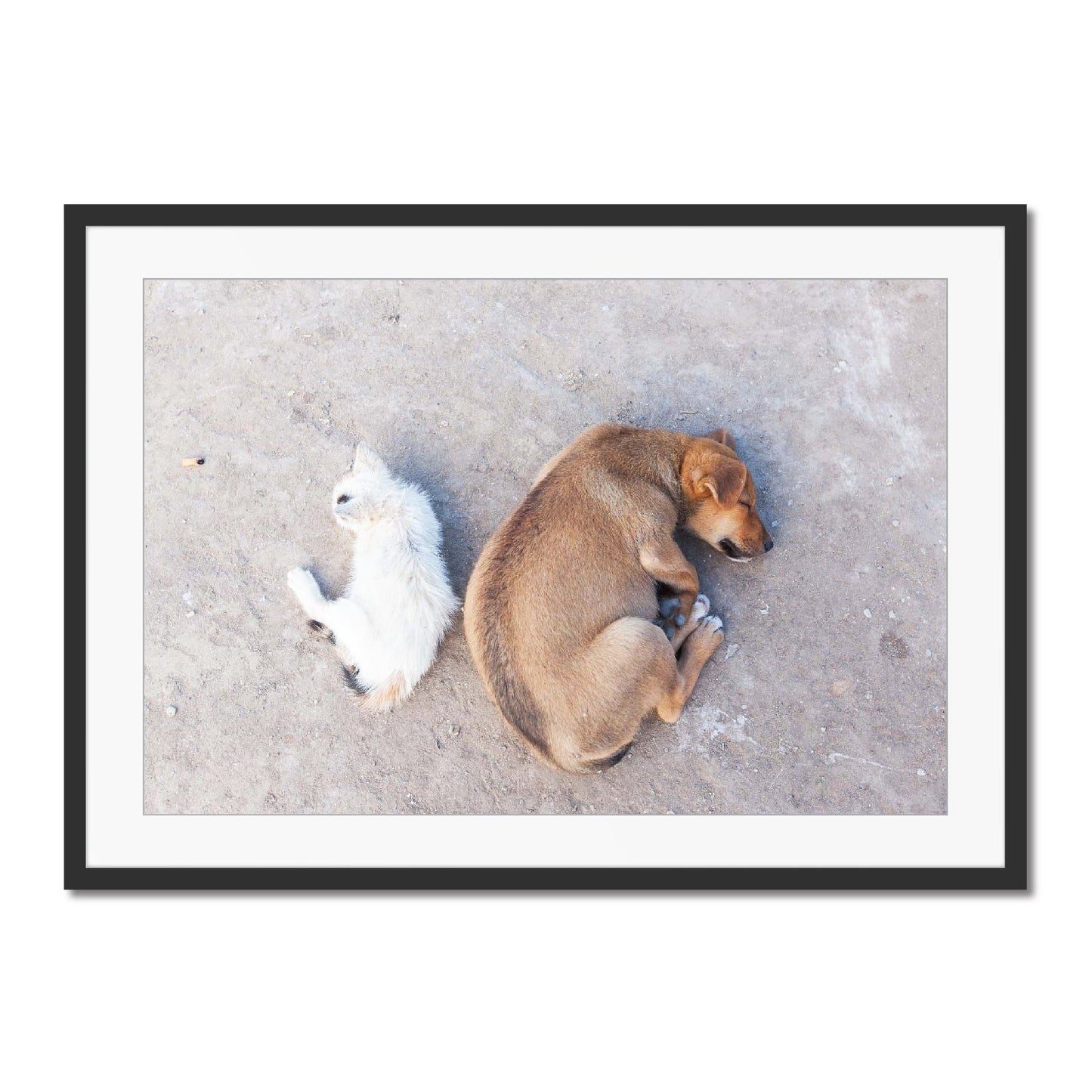 Fez Photographic Print II