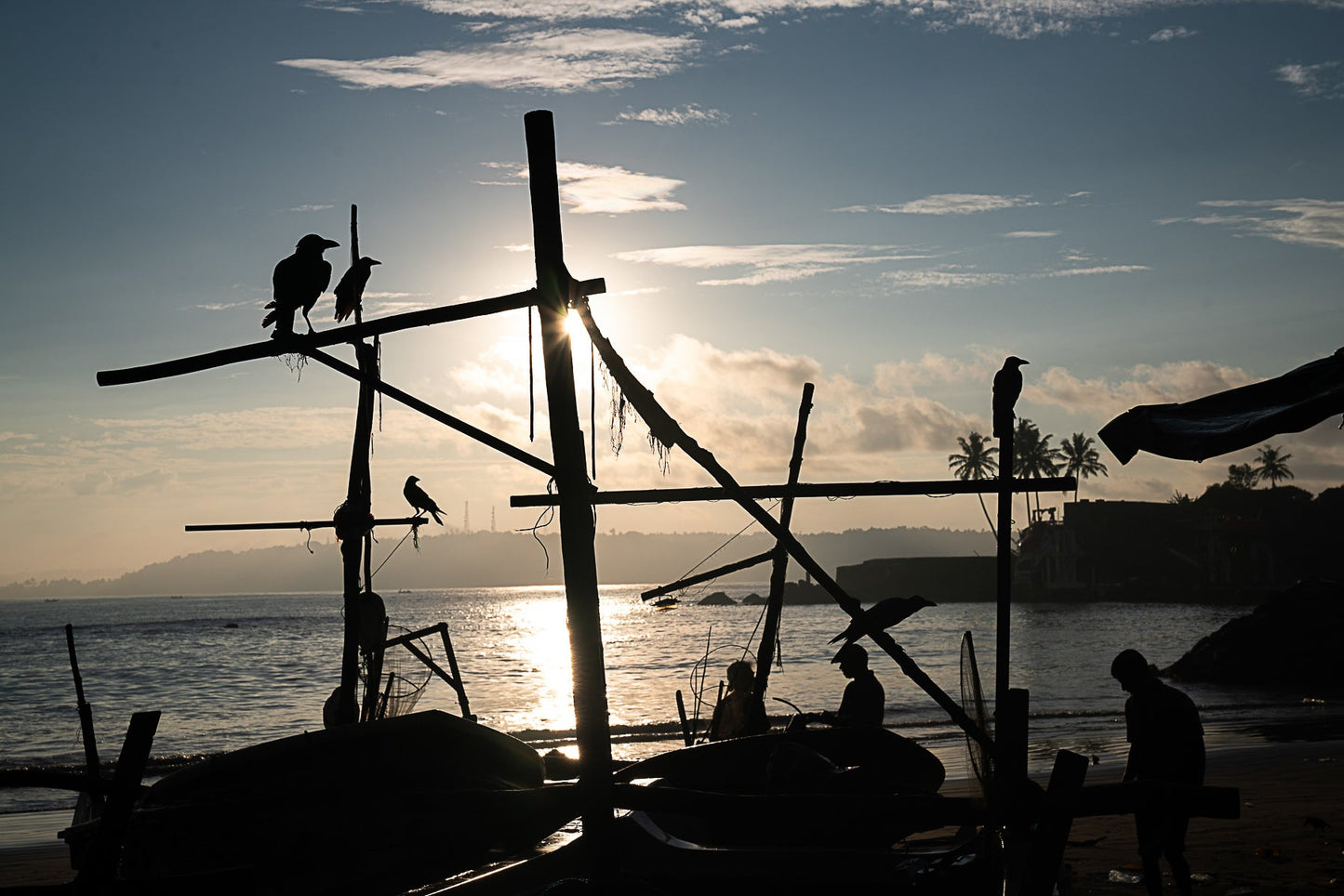 Galle Photographic Print II
