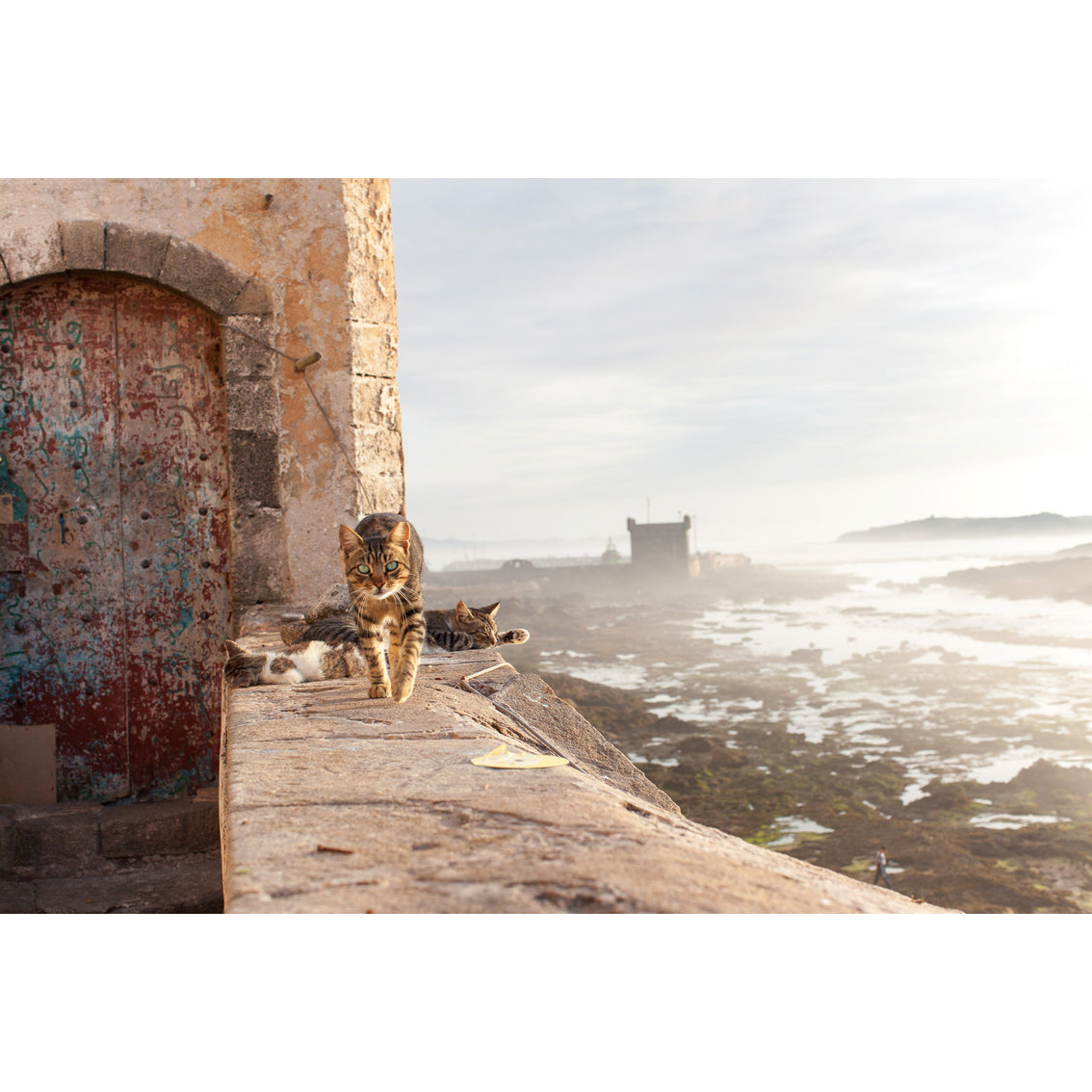 Essaouira Photographic Print