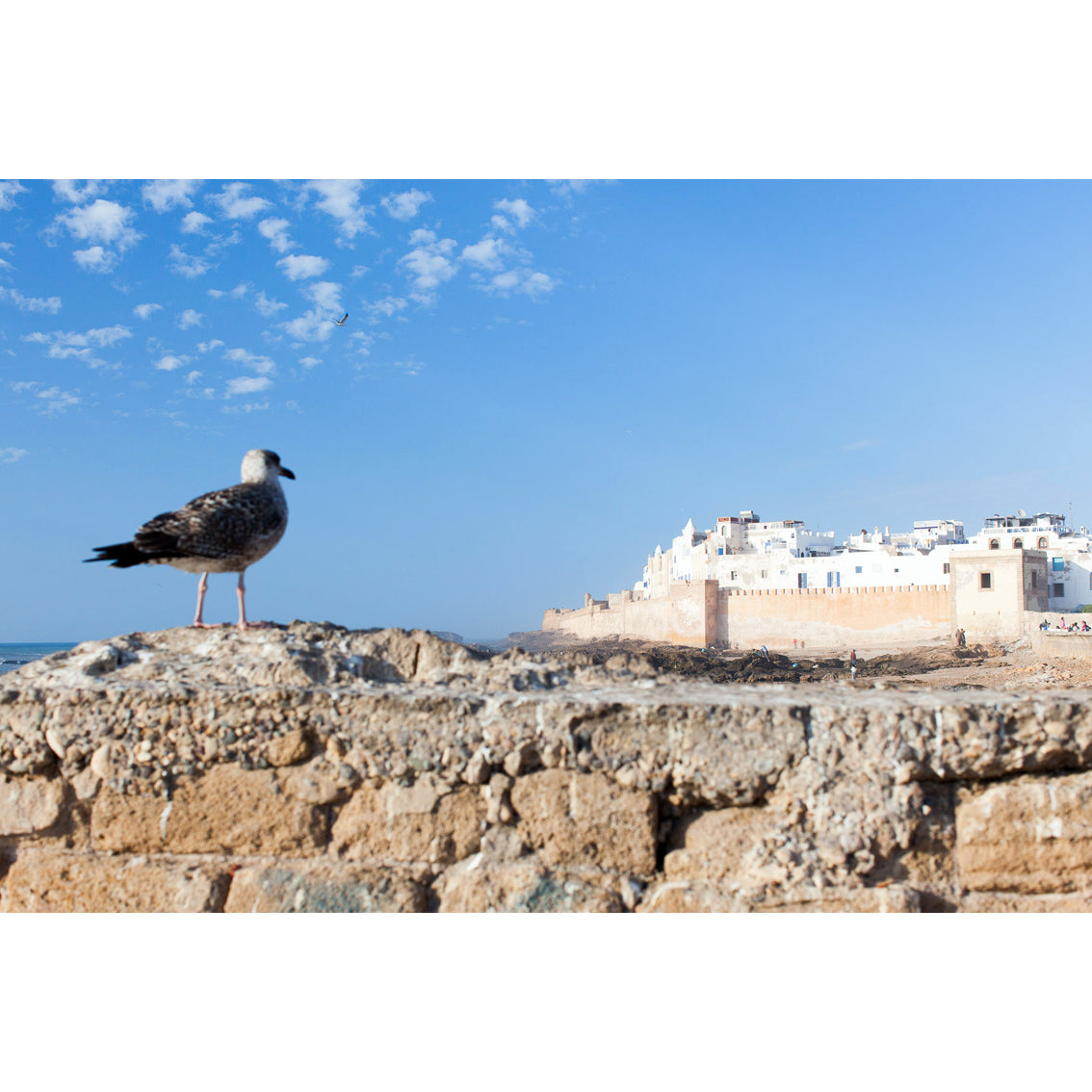 Essaouira Photographic Print